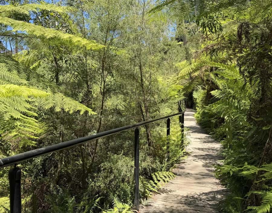 Blue Mountains Tour, Katoomba Falls & Cockatoos Small Group - Key Highlights That Make This Tour Worth Your Day
