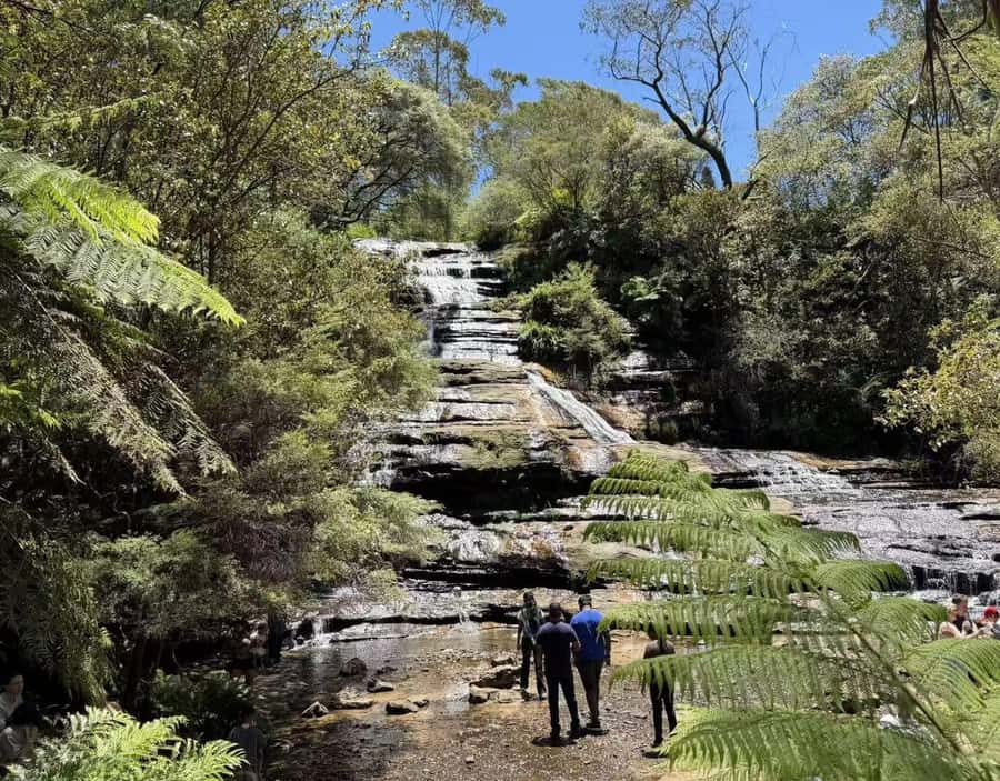 Blue Mountains Tour, Katoomba Falls & Cockatoos Small Group - From Sydney Pick-up to Katoomba, You’re Not Chasing the Clock