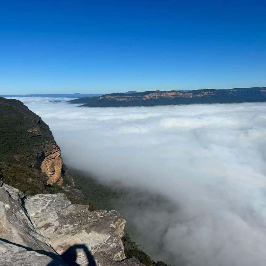 Blue Mountains Tour, Katoomba Falls & Cockatoos Small Group - Maple Grove Park, Cockatoo Spotting, and the Parrot Encounter Moment