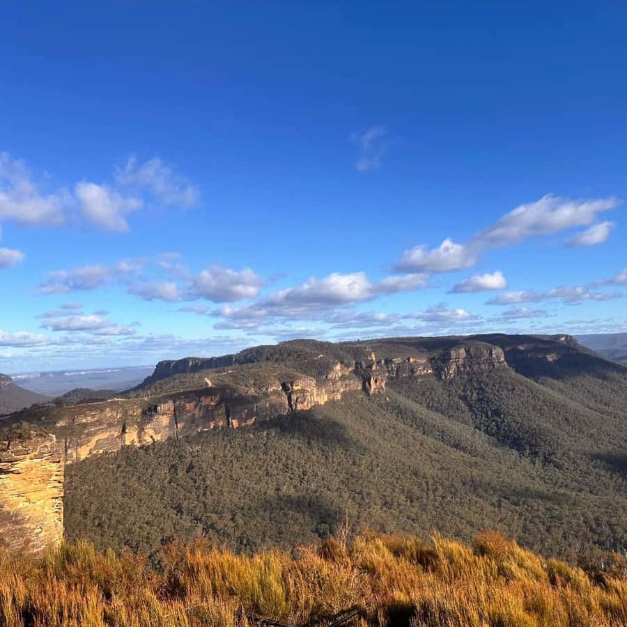 Blue Mountains Tour, Katoomba Falls & Cockatoos Small Group - Leura Town Time for Shops and Coffee, Not Another Photo Sprint