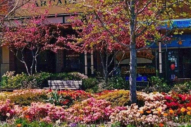 Blue Mountains Tour & Main Attractions & Suv Pick up & drop off - Echo Point and Leura: Your Classic Blue Mountains Photo Moment Plus Real Village Time