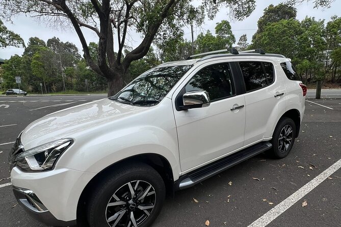 Blue Mountains Tour & Main Attractions & Suv Pick up & drop off - Your Day’s Flow: Short Stops, Big Views, Good Timing