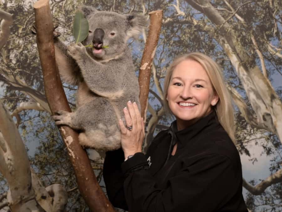 Blue Mountains Tour - Small grp, Koala, Kangaroo & Waterfall - Key highlights worth planning for