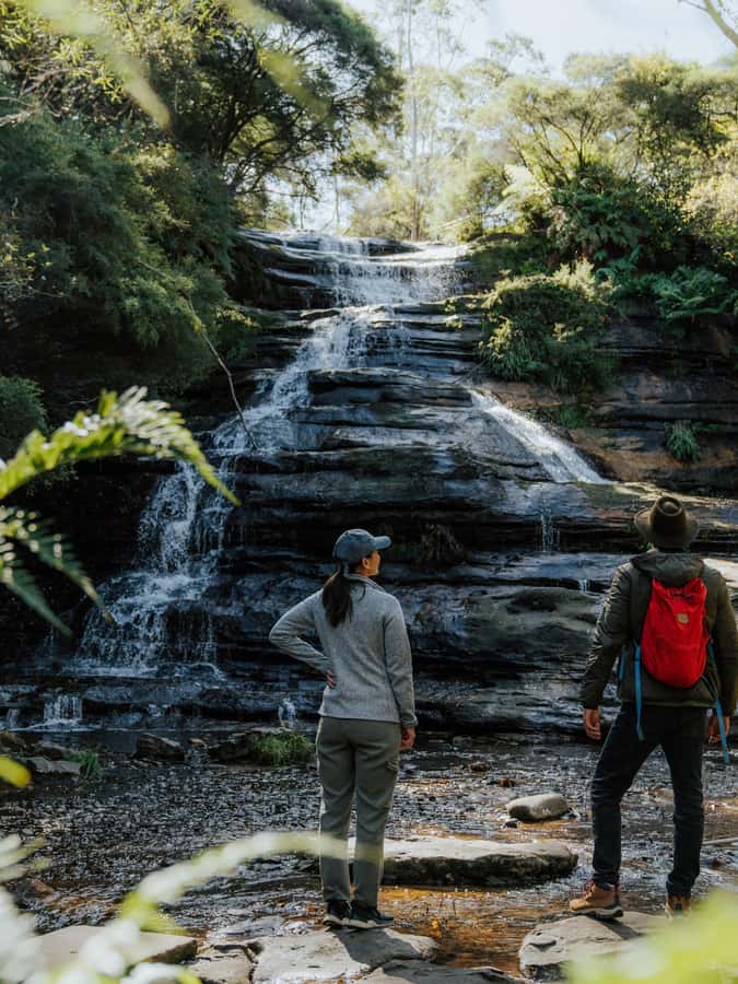 Blue Mountains Tour - Small grp, Koala, Kangaroo & Waterfall - Wentworth Falls again: a second look that feels more complete