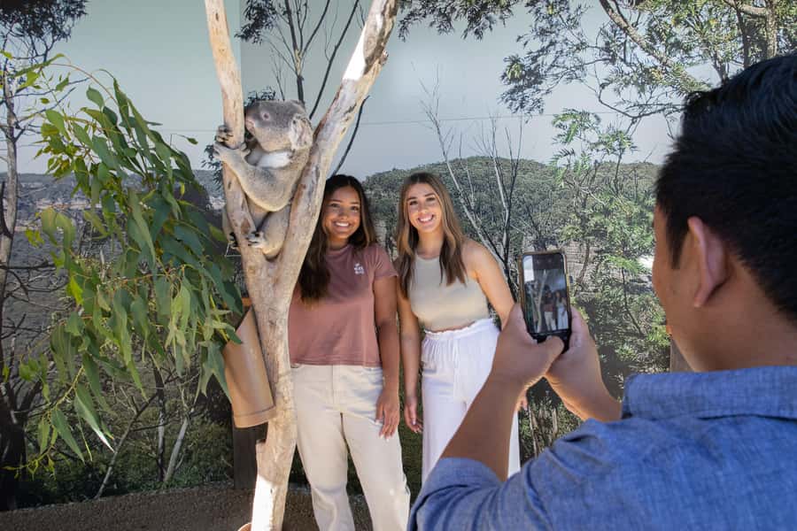 Blue Mountains Tour w/Lunch: Scenic World, Zoo & Koala Photo - The Big Picture: Why This 11-Hour Day Works