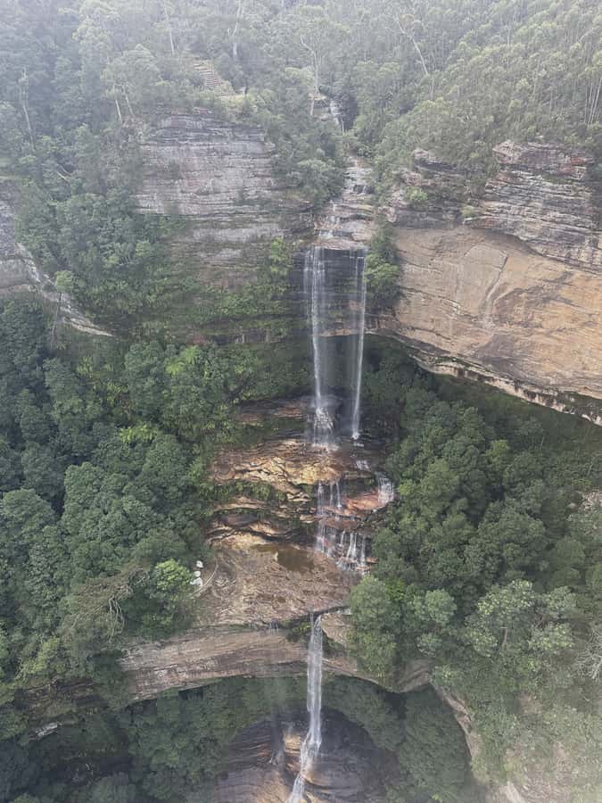 Blue Mountains Tour w/Lunch: Scenic World, Zoo & Koala Photo - The Harbour Ferry Back to Circular Quay: A Calm Finale
