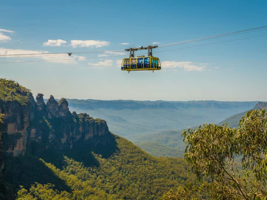 Blue Mountains Tour w/Lunch: Scenic World, Zoo & Koala Photo - Price and Value: What You’re Paying For