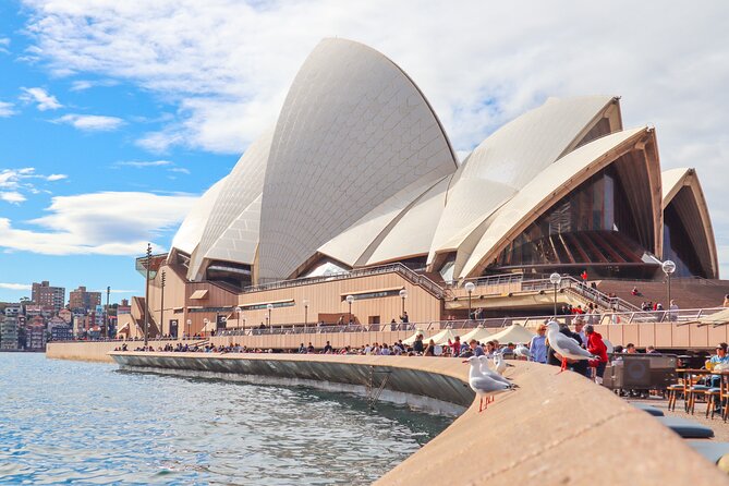 Bondi & Sydney Sights Trike Tour 1.5hrs - Private, small-group value at $131.82 per person
