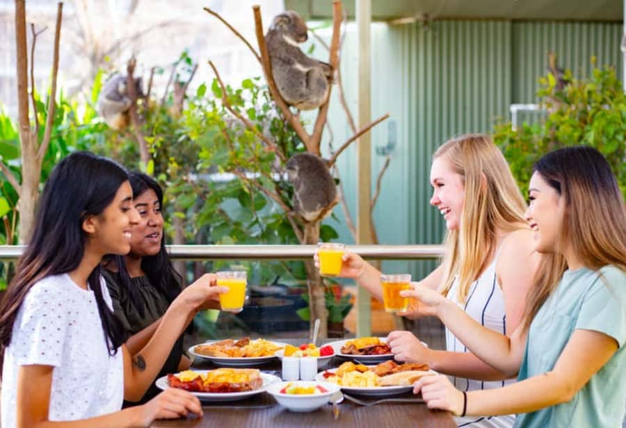 Breakfast with Koalas at WILD LIFE Zoo Darling Harbour - Key things that make this koala breakfast special
