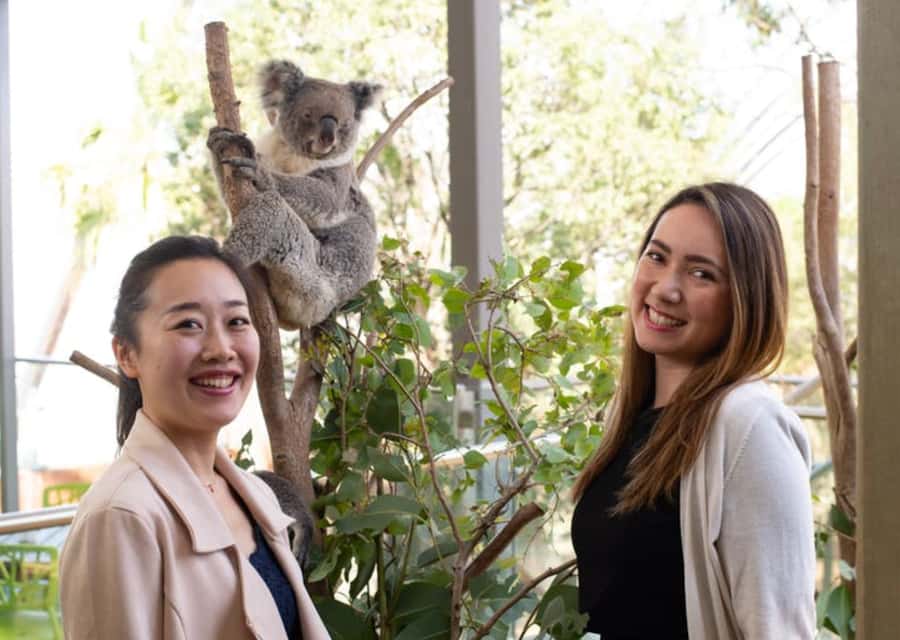 Breakfast with Koalas at WILD LIFE Zoo Darling Harbour - Where WILD LIFE Sydney Zoo Fits in the Darling Harbour Plan