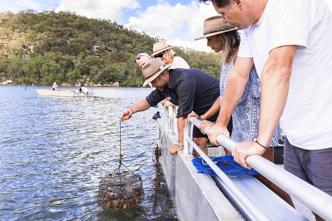 Broken Bay Pearl & Oyster Farm Tours - The Shellar Door setting, right on the Hawkesbury River