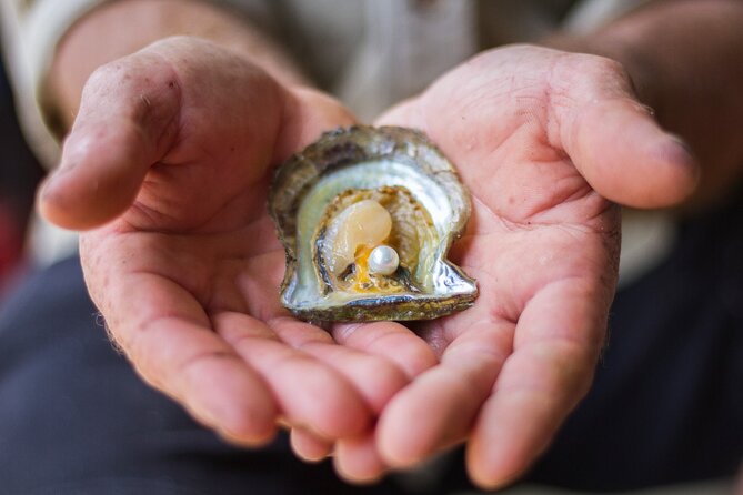 Broken Bay Pearl & Oyster Farm Tours - Land-based farm time versus scenic cruise options