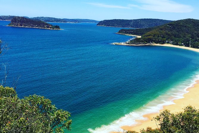Central Coast Private Tour From Sydney, with Australian Reptile Park Option - Quick hits you should know