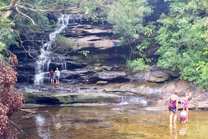 Central Coast Private Tour From Sydney, with Australian Reptile Park Option - Wyong Milk Factory: award-winning cheese and chocolate sampling