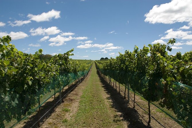 Coastal Scenic Food & Wine Trail - Chowder Bay Lunch (3-Course) Is Your Extra Cost