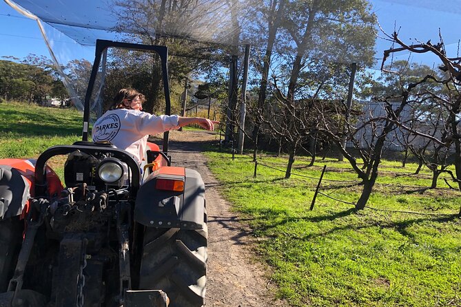 Coastal Scenic Food & Wine Trail - The Ocean View Circuit: Southern Gateway Centre and Bald Hill