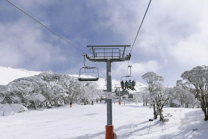 Day Trip To Snowy Mountains From Sydney - A 5:00 am start that buys you real snow hours