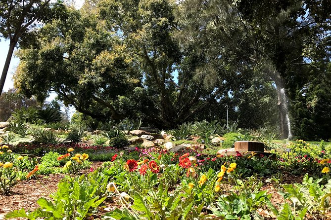 Discover Sydney - Botanic - Royal Botanic Garden Sydney finish: why this ending location pays off