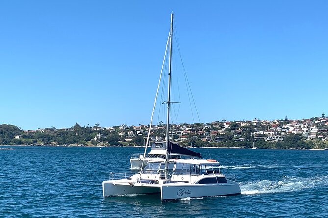 Dogs on Deck Harbour Cruise - Timing, weather reality, and photo tips for a 5pm departure