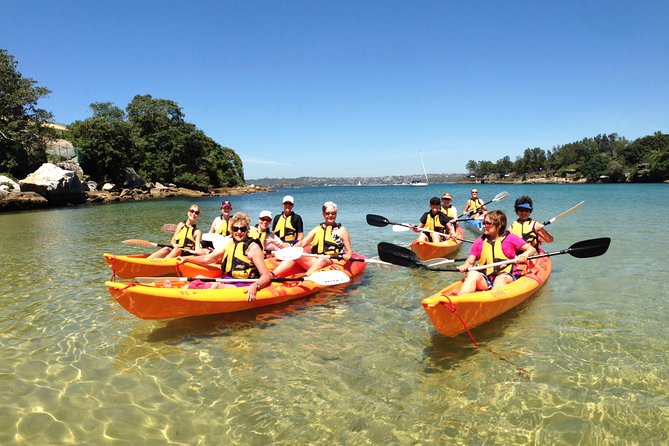 Double Kayak Hire - 4 Hours - Why Manly’s North Harbour is perfect for an independent double kayak