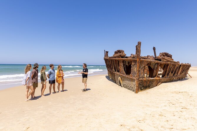 East Coast Australia 16 Day Comfort Tour from Sydney to Daintree - Sydney check-in and the “get your bearings fast” start