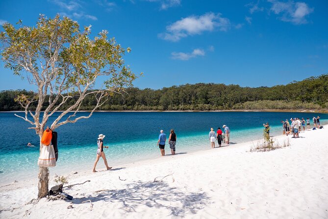 East Coast Australia 16 Day Comfort Tour from Sydney to Daintree - Gumbaynggirr culture and Cape Byron views that feel like a reset