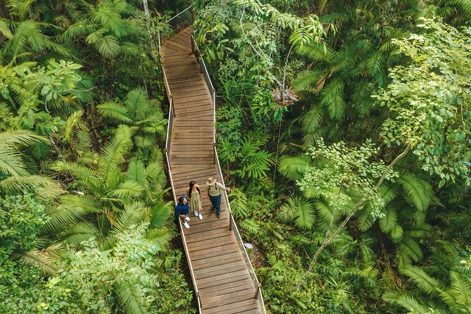 East Coast Australia 16 Day Comfort Tour from Sydney to Daintree - Hunter Valley wine, plus koalas and Newcastle harbour time