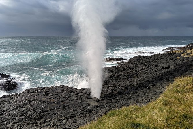 Erupting Blowholes and Ancient Rainforests SOUTH COAST OF SYDNEY PRIVATE TOUR - Key things I’d plan around