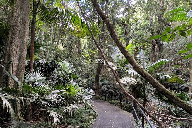Erupting Blowholes and Ancient Rainforests SOUTH COAST OF SYDNEY PRIVATE TOUR - Minnamurra cliff walk and Cathedral Rocks: where the ocean does the talking
