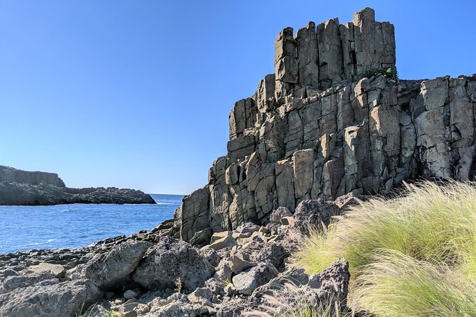 Erupting Blowholes and Ancient Rainforests SOUTH COAST OF SYDNEY PRIVATE TOUR - Bombo Beach quarry walk: the rock-formation stop you’ll remember