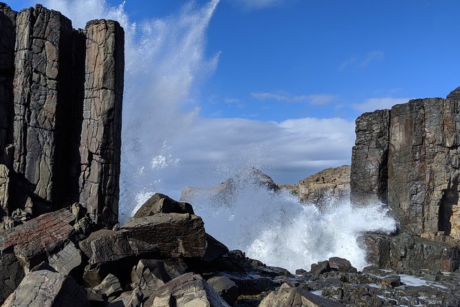Erupting Blowholes and Ancient Rainforests SOUTH COAST OF SYDNEY PRIVATE TOUR - Kiama harbour and the Terrace Houses: coast animals and old mining town details
