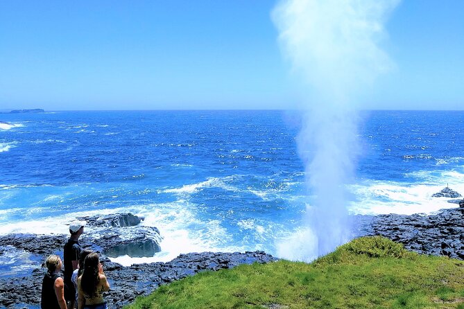 Erupting Blowholes and Ancient Rainforests SOUTH COAST OF SYDNEY PRIVATE TOUR - Meet your guide Ben Barry, and why it changes the day