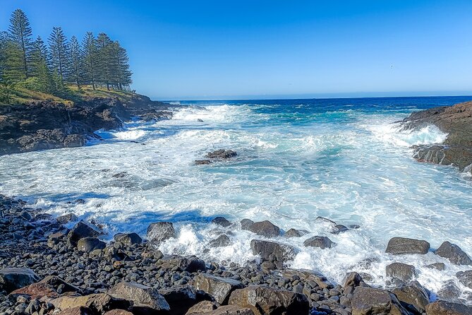 Escape Sydney: Sea Cliff Bridge, Wildlife, Kiama Coast Private - Sea Cliff Bridge: the coastline opener you will remember