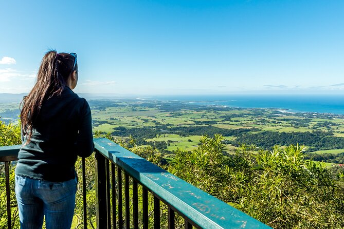 Escape Sydney: Sea Cliff Bridge, Wildlife, Kiama Coast Private - Kiama Blowhole: the ocean doing its own special effects