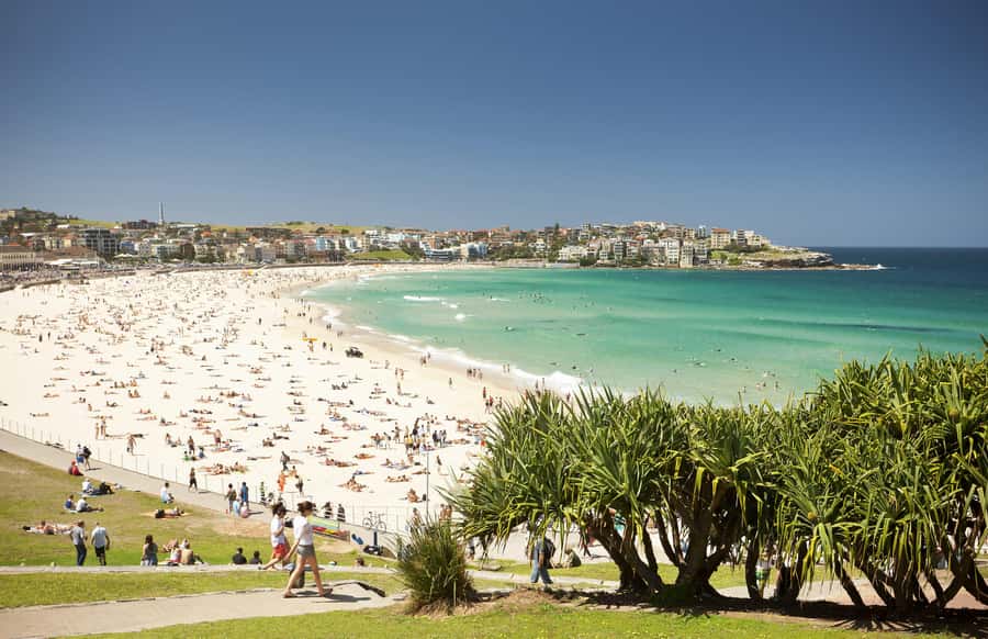 Experience Sydney's Best Beaches: Private Tour - Coastal walks and ocean time, what to do when you arrive