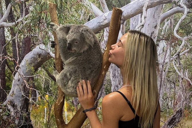 Featherdale Wildlife Park with Exclusive Private Transfers - Key things to know before you go