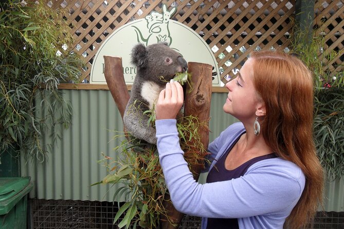 Featherdale Wildlife Park with Exclusive Private Transfers - Featherdale Wildlife Park: koalas, kangaroos, and wombats with guided help