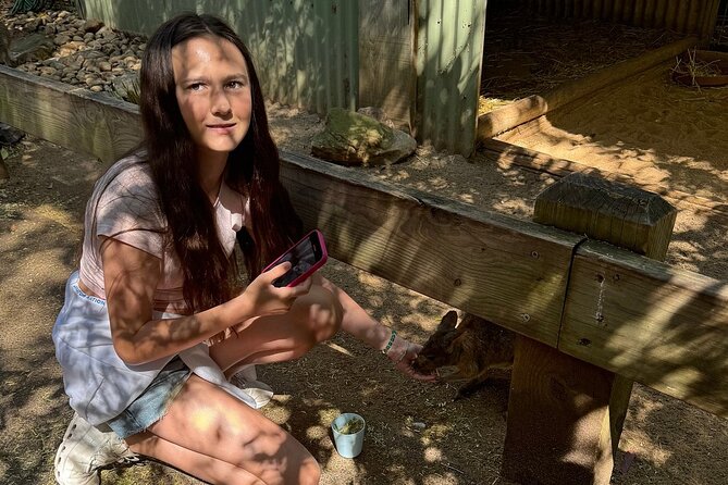 Featherdale Wildlife Park with Exclusive Private Transfers - Practical comfort at the park: easy navigation, good walking time