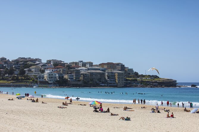 First Timer Sydney Sightseeing & Bondi Beach 1/2 Day Tour - The mini coach loop: Hyde Park, Sydney Tower Eye, QVB, and Oxford Street
