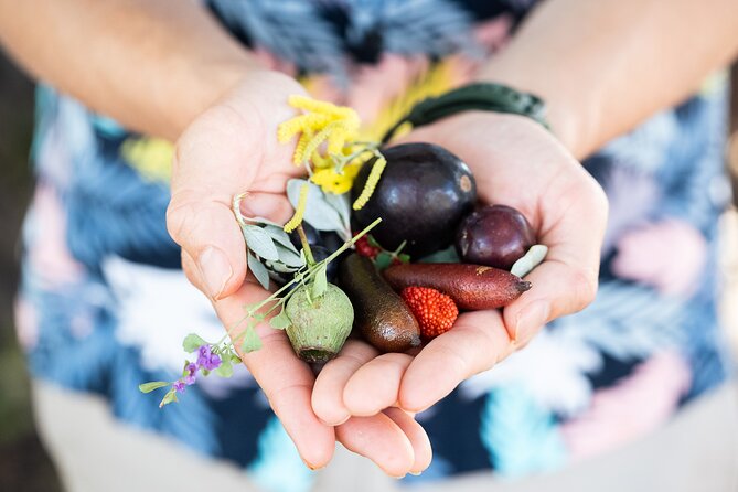 Foraging Tour: Botanical Gardens Walk & Picnic - Indigenous storytelling: food and medicine in plain terms