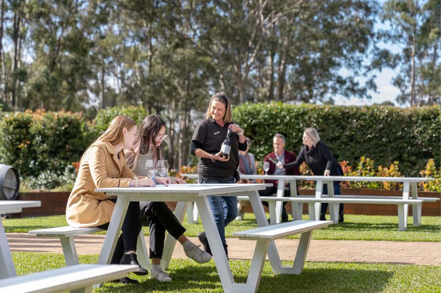 From Sydney: All Inclusive Boutique Hunter Valley Wine Tour - Artisan cheese tasting, 45 minutes, and why pairing matters