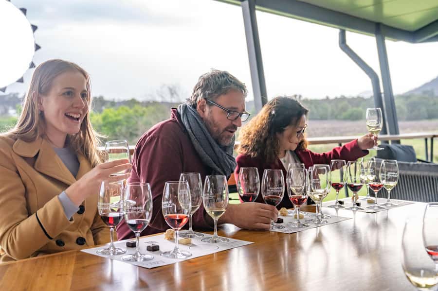 From Sydney: All Inclusive Boutique Hunter Valley Wine Tour - Transport comfort, onboard refrigeration, and the details that reduce friction