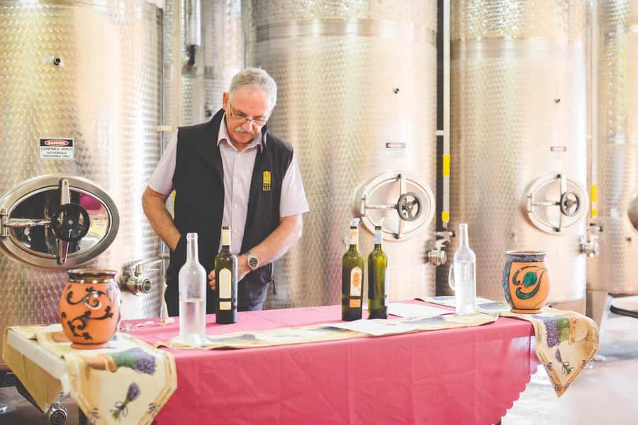 From Sydney: Award-Winning Hunter Valley Wine & Cheese Tour - Key things to know before you go