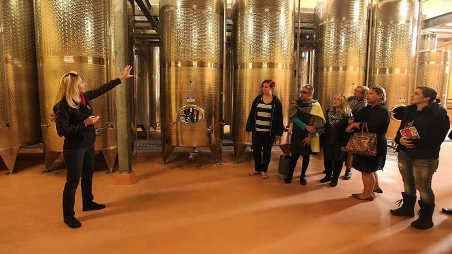 From Sydney: Award-Winning Hunter Valley Wine & Cheese Tour - Cheese tasting at Hunter Valley Cheese Company: worth it, with one caveat