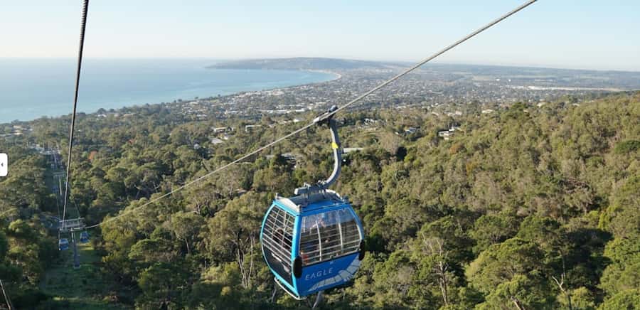 From Sydney: Blue Mountains and Featherdale Tour - Blue Mountains cable car: the ticketed payoff