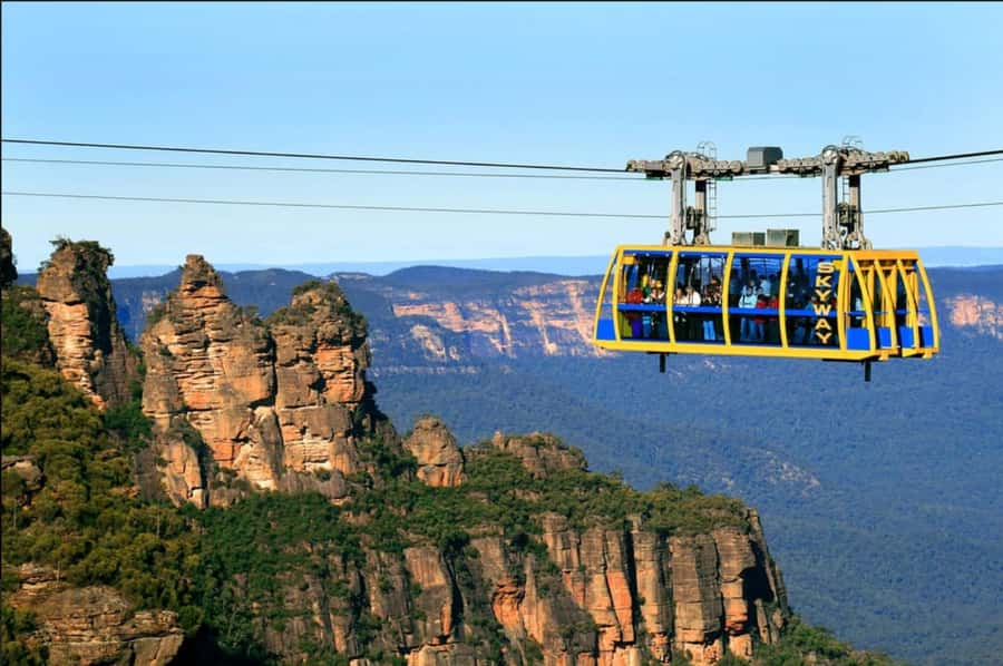 From Sydney: Blue Mountains and Featherdale Tour - Featherdale Wildlife Park: an easy, focused wildlife hour