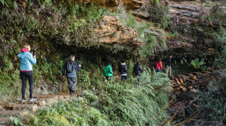 From Sydney: Blue Mountains Bushwalks & Featherdale Tour - Wentworth Falls bushwalk: where your shoes and stamina matter