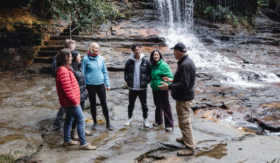 From Sydney: Blue Mountains Bushwalks & Featherdale Tour - Price and value: what $133 buys you for 11 hours