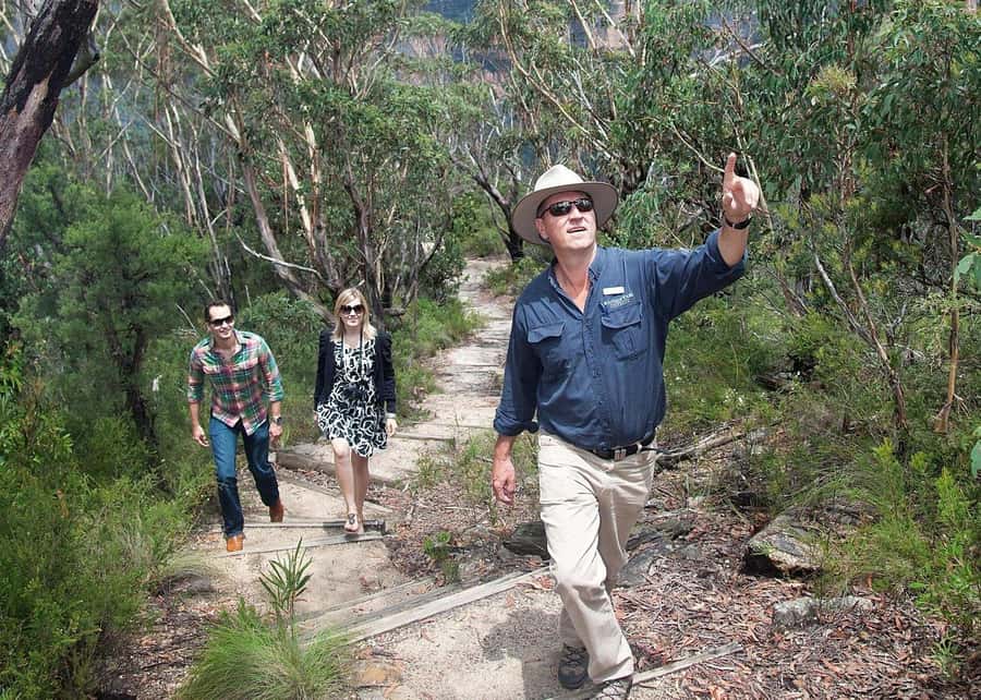 From Sydney: Blue Mountains Bushwalks & Featherdale Tour - Getting picked up in central Sydney without the headache