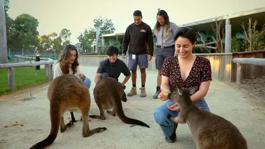 From Sydney: Blue Mountains Day Tour & Hop-on, Hop-off Tour - Katoomba Scenic World: Unlimited Rides That Let You Choose the Pace